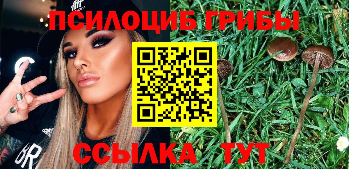 Галлюциногенные грибы Cubensis Магадан
